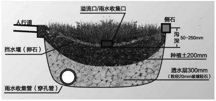clip_image002.jpg