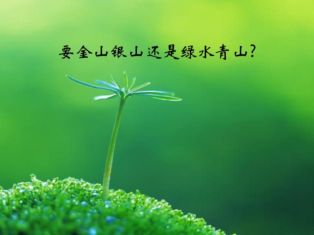 通栏图片